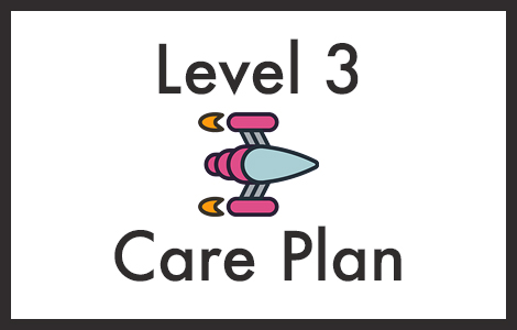 wordpress care plan level 3